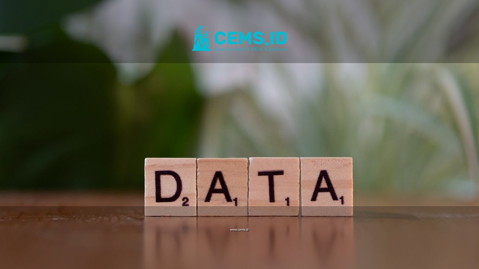 Scrabble tiles spelling 'DATA' on a wooden table with a blurred plant background.