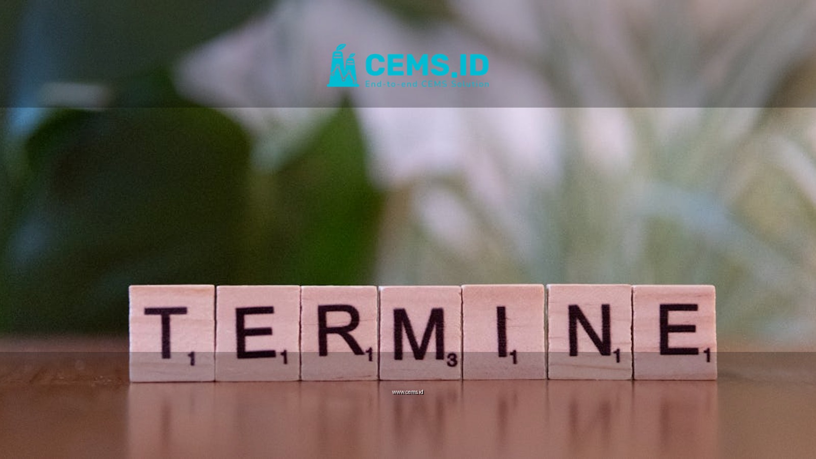 Close-up of Scrabble tiles spelling 'TERMINE'.