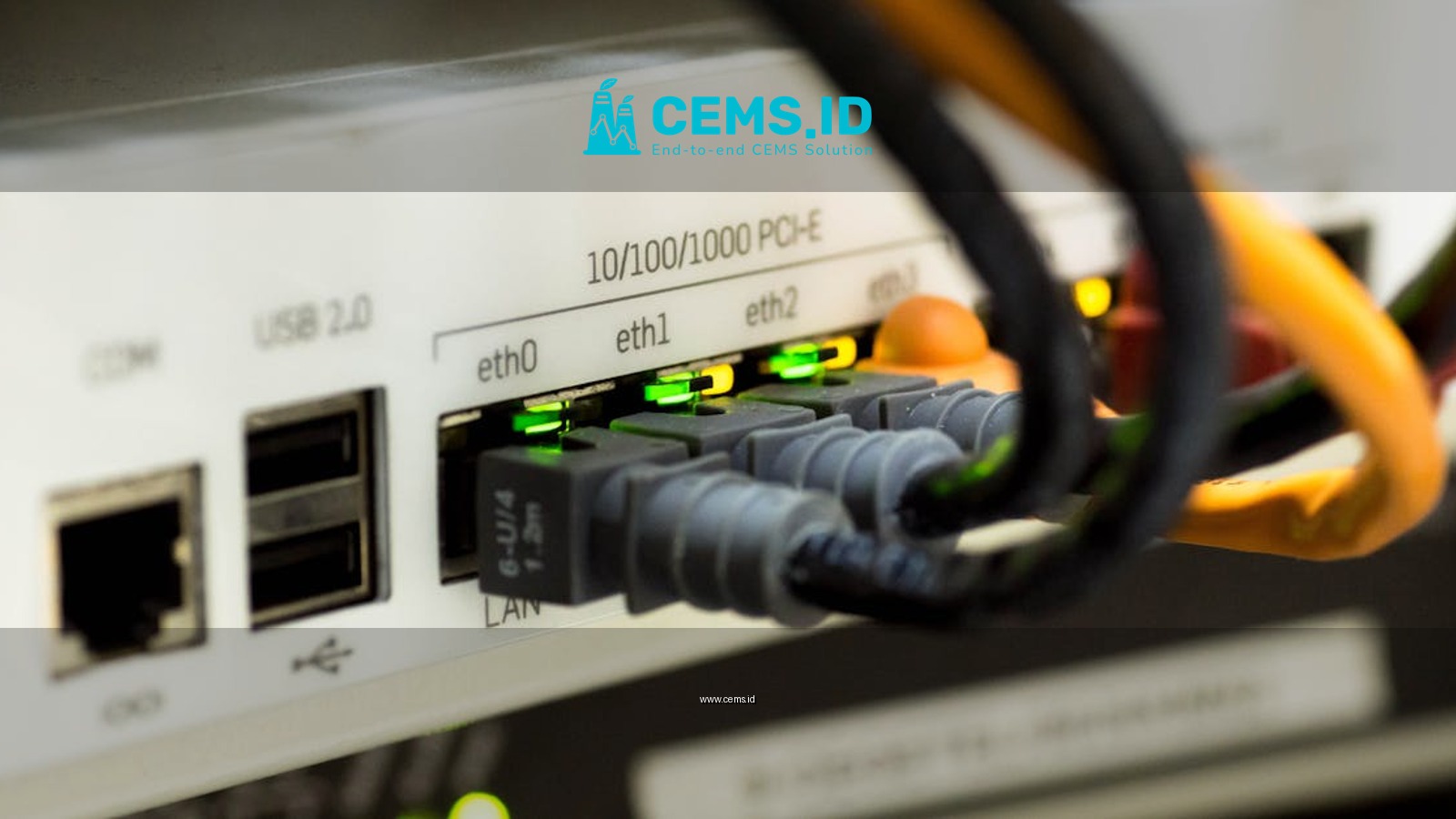 Detailed close-up of ethernet cables and network connections on a router, showcasing modern technology.