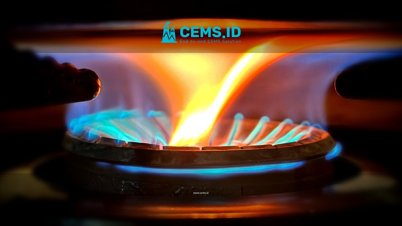 Close-up view of vibrant blue and orange flames on a gas stove burner.