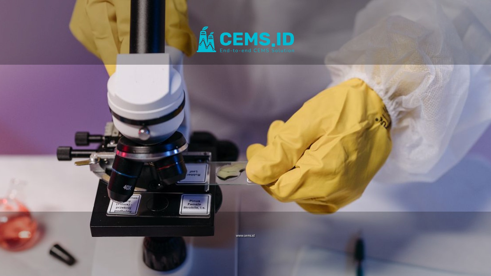Researcher in protective gloves examines samples under a microscope in a lab setting.