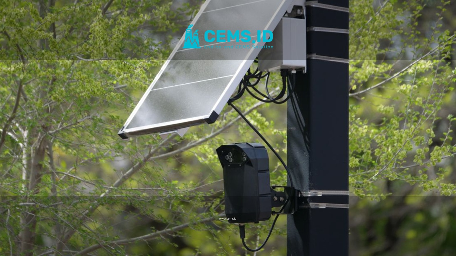 Solar-powered surveillance camera on a street pole surrounded by greenery, highlighting modern urban technology.