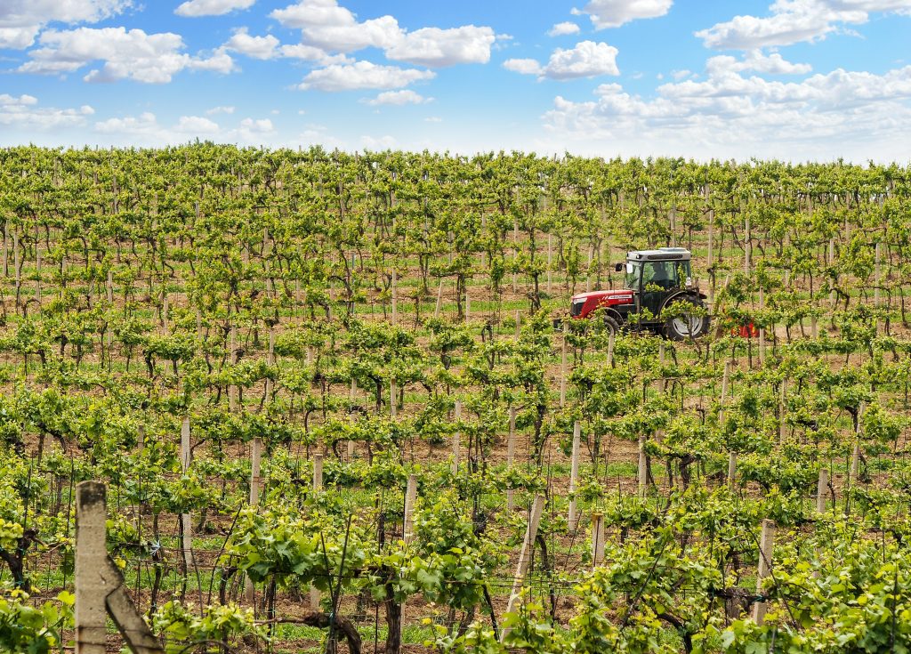 Photo by energepic.com: https://www.pexels.com/photo/landscape-photography-of-a-tractor-in-an-agricultural-field-2988355/

Pertanian Cerdas: Teknologi untuk Keunggulan