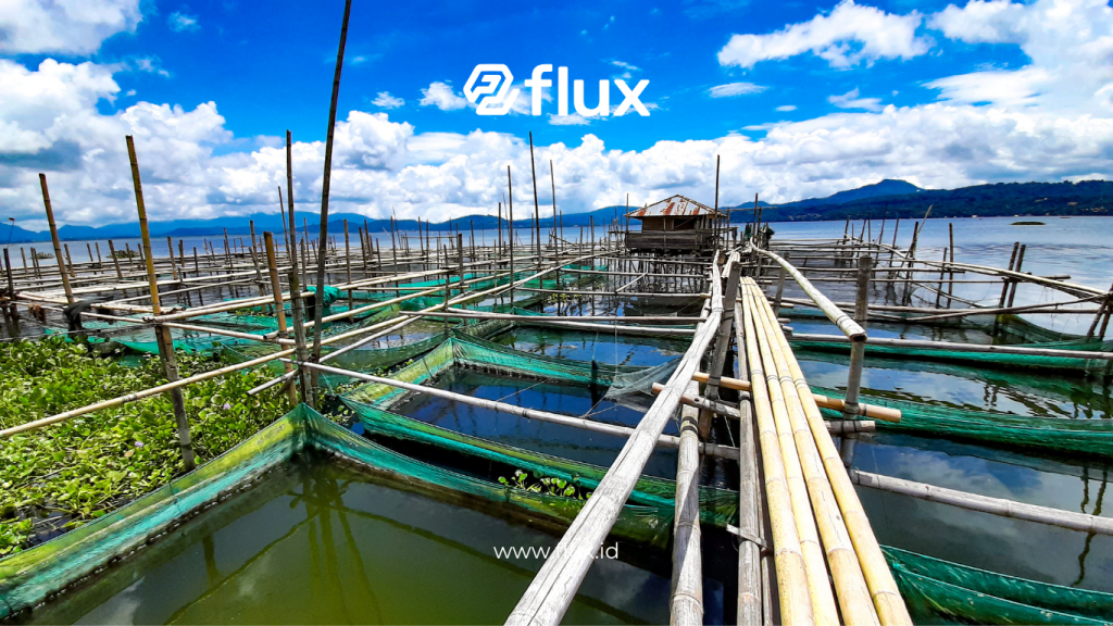 Budidaya ikan Pintar dengan Solusi IoT dari fluxFishFarm


Canva