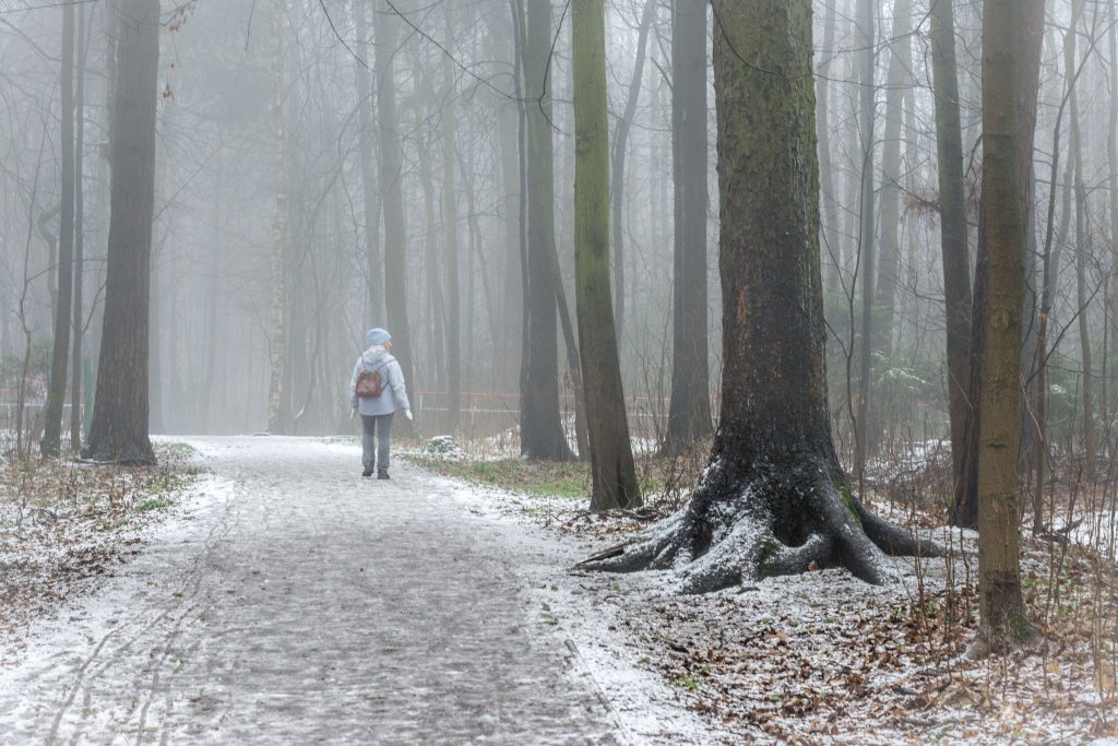 The Role of Weather Sensors in Forest Fire Monitoring
Foto oleh Сергей: https://www.pexels.com/id-id/foto/dingin-salju-kayu-jalan-3783505/