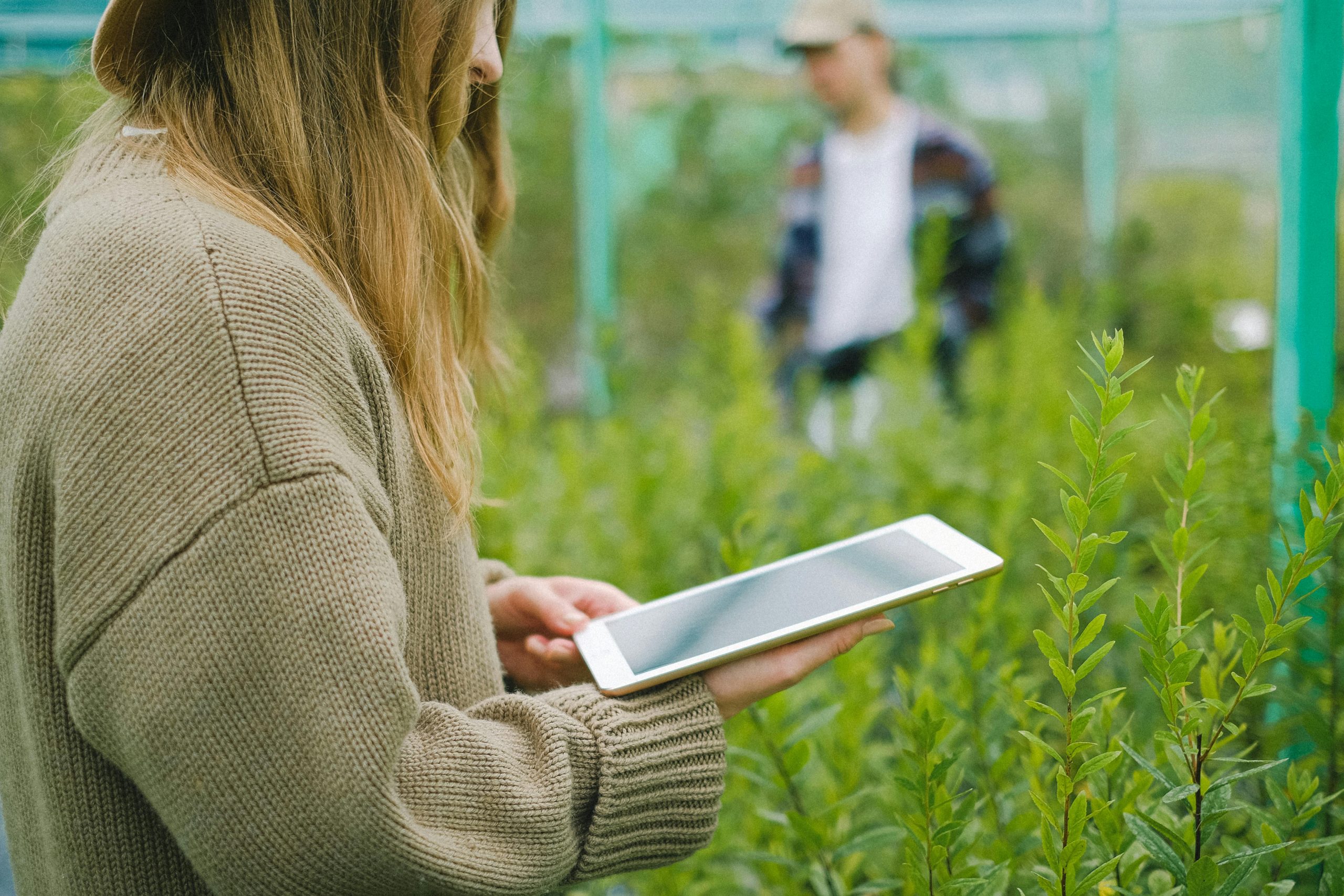 Pantau Kondisi Tanaman di Kebun Via Mobile, Emang Bisa? Photo by Anna Shvets: https://www.pexels.com/photo/woman-using-tablet-for-photographing-plants-in-greenhouse-5230957/