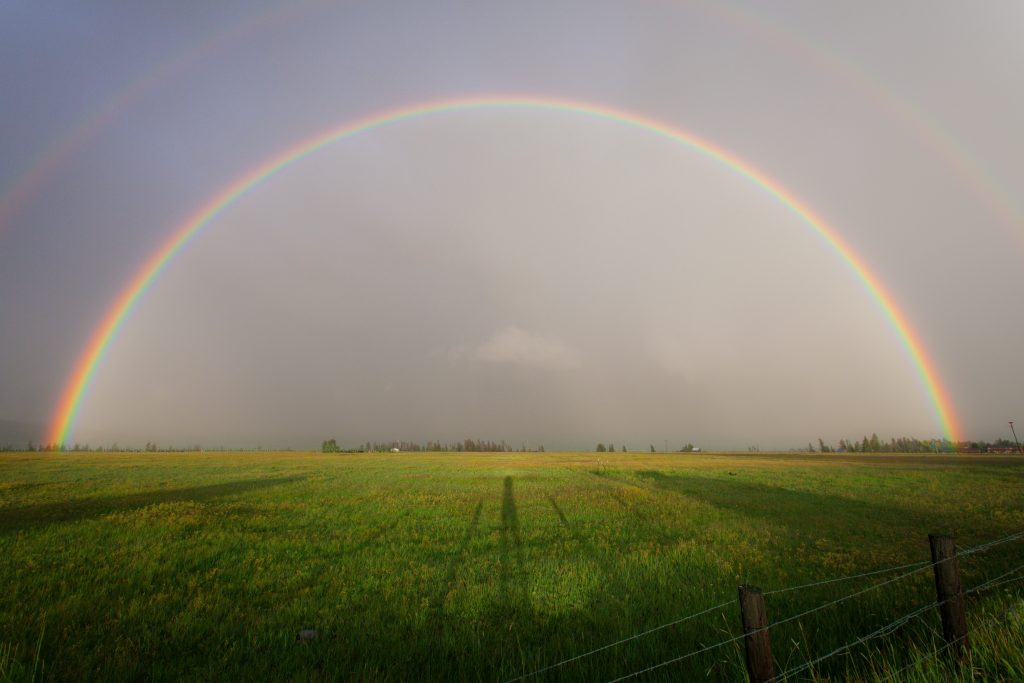 Weather Sensors
Foto oleh Binyamin Mellish: https://www.pexels.com/id-id/foto/pelangi-di-lapangan-rumput-108941/