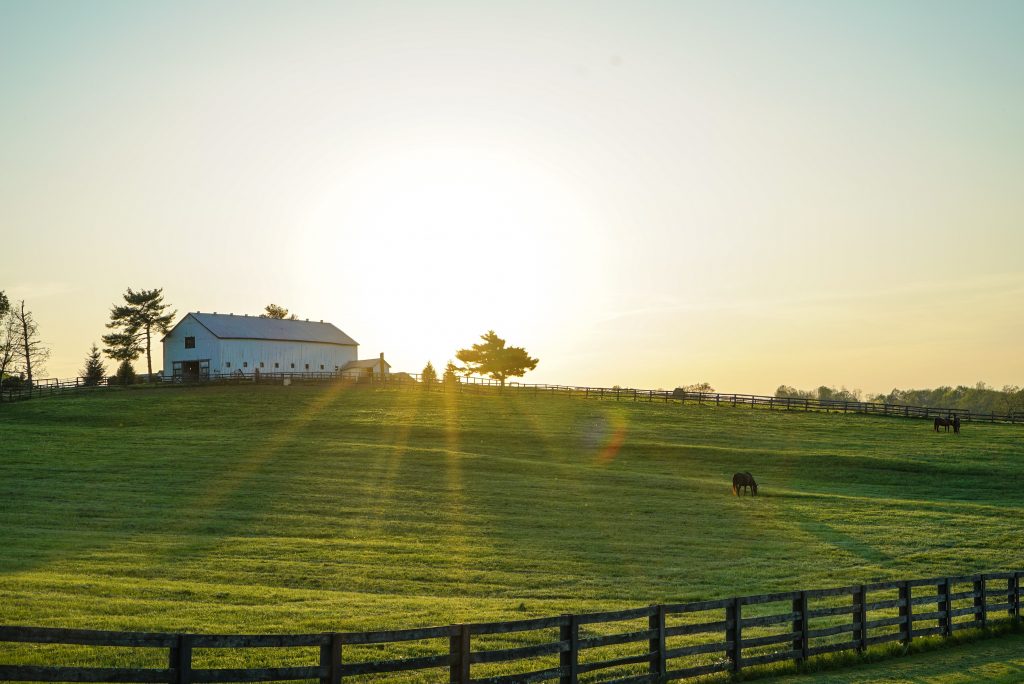 Photo by Brandon Randolph: https://www.pexels.com/photo/white-house-beside-grass-field-2042161/

Pendahuluan