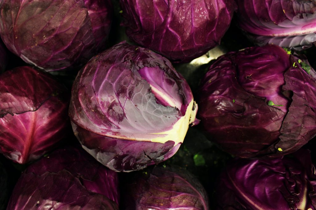 Photo by Daniel Dan: https://www.pexels.com/photo/red-cabbages-in-close-up-photography-7543203/

Inovasi & Kolaborasi: Smart Hydrofarming Masa Depan Pertanian