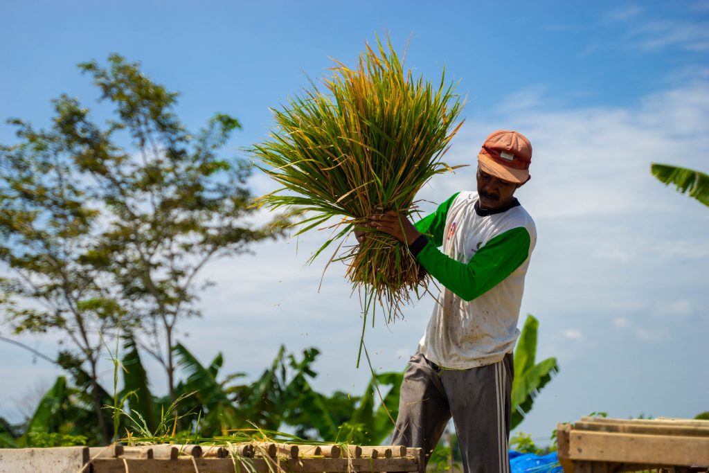 Pertanian Modern dengan Sensor IoT untuk Monitoring Tanaman
Foto oleh Errol Dio: https://www.pexels.com/id-id/foto/pria-bekerja-pedesaan-pertanian-18726427/