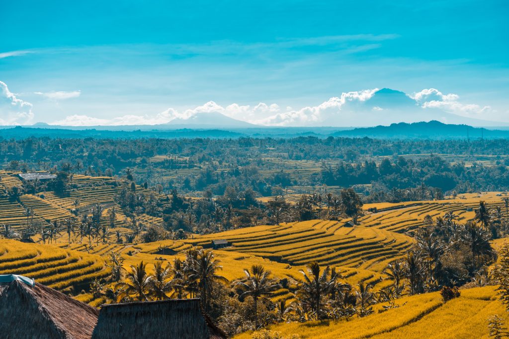 Photo by Guillaume Meurice: https://www.pexels.com/photo/rice-terraces-1005473/

Smart Agriculture: Minimalkan Penggunaan Air dalam Pertanian