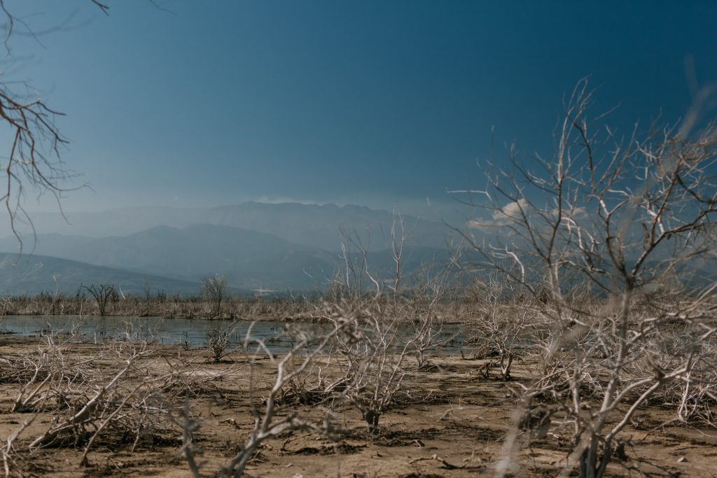 IoT for Precision Monitoring in Drought-Prone Areas
Foto oleh Julia Volk: https://www.pexels.com/id-id/foto/tanaman-kering-di-tepi-waduk-yang-tenang-5273095/