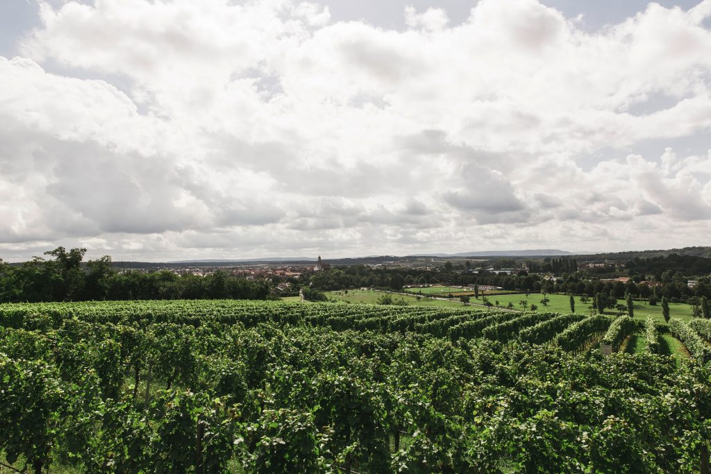 Photo by Markus Spiske: https://www.pexels.com/photo/green-grass-field-under-cloudy-sky-160271/

Mengurangi Penggunaan Sumber Daya