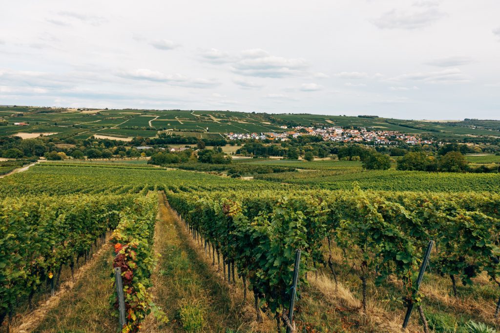 Photo by Markus Winkler: https://www.pexels.com/photo/aerial-view-of-vineyard-under-white-sky-5415311/

Penerapan IoT dalam Pertanian: Mewujudkan Era Smart Farming