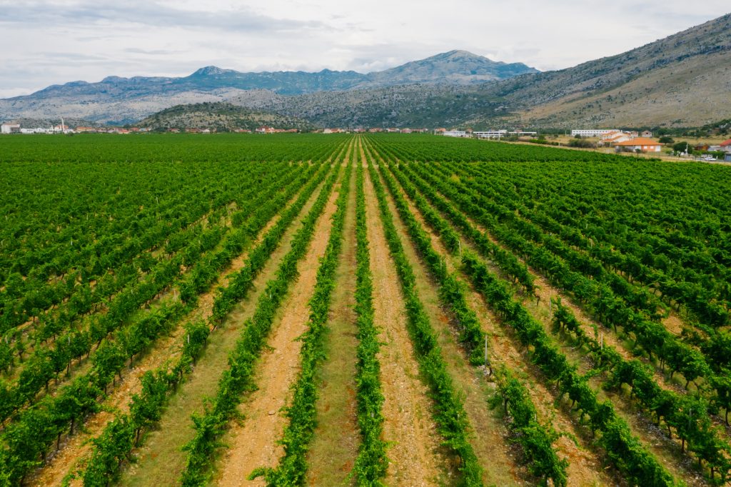 Photo by Mikhail Nilov: https://www.pexels.com/photo/farmland-near-mountain-8431494/

Kesimpulan