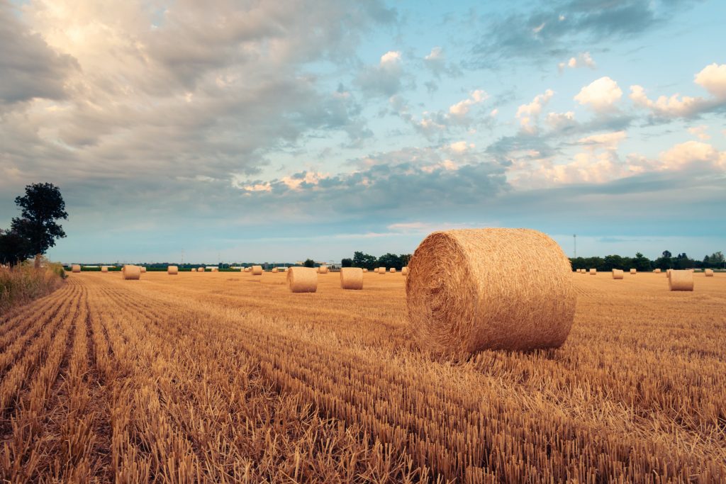 Future Farming Optimization with Soil Nutrient Sensors
Foto oleh Nikolett Emmert: https://www.pexels.com/id-id/foto/bidang-kuning-pertanian-pedesaan-18727470/