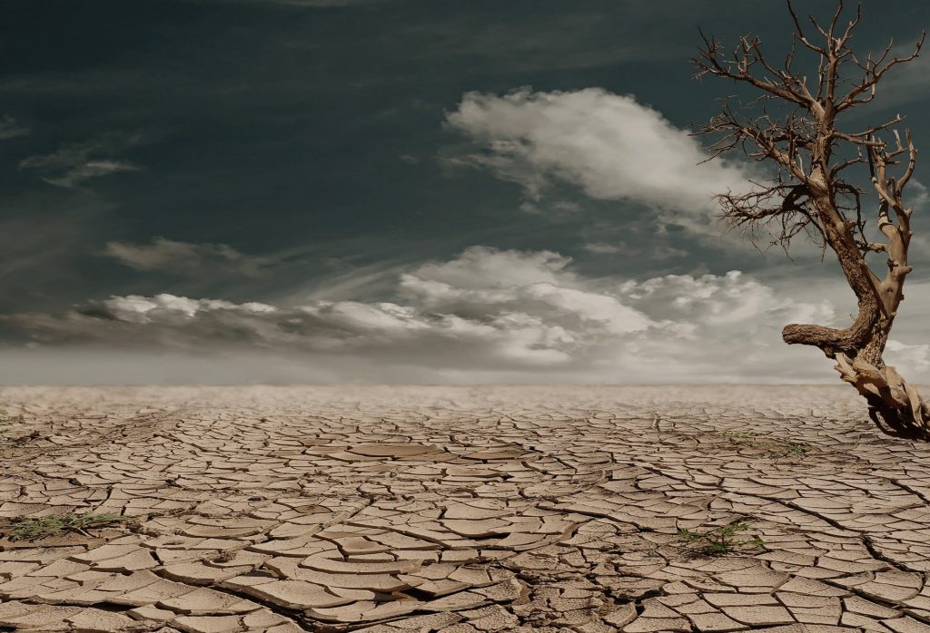 IoT Sensors in Early Drought Detection
Foto oleh Pixabay: https://www.pexels.com/id-id/foto/foto-pohon-telanjang-coklat-di-permukaan-coklat-pada-siang-hari-60013/