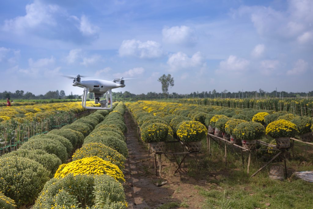 Photo by Quang Nguyen Vinh: https://www.pexels.com/photo/green-leafed-plants-2132171/

Pertanian Berkelanjutan: Implementasi Smart Agriculture