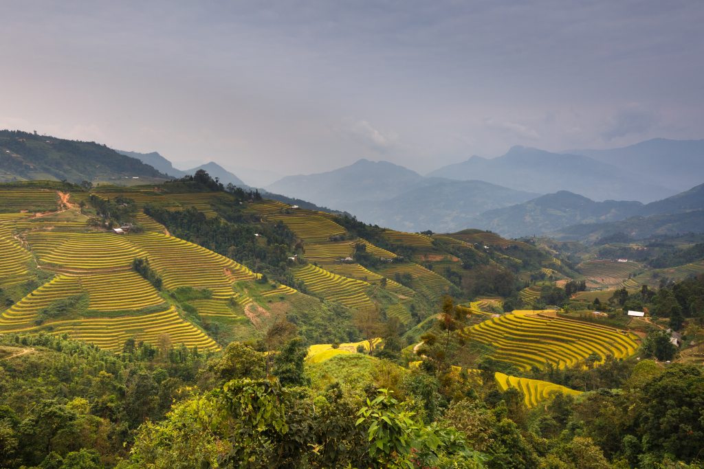 Photo by Quang Nguyen Vinh: https://www.pexels.com/photo/aerial-photography-of-mountain-2154134/

Kesimpulan