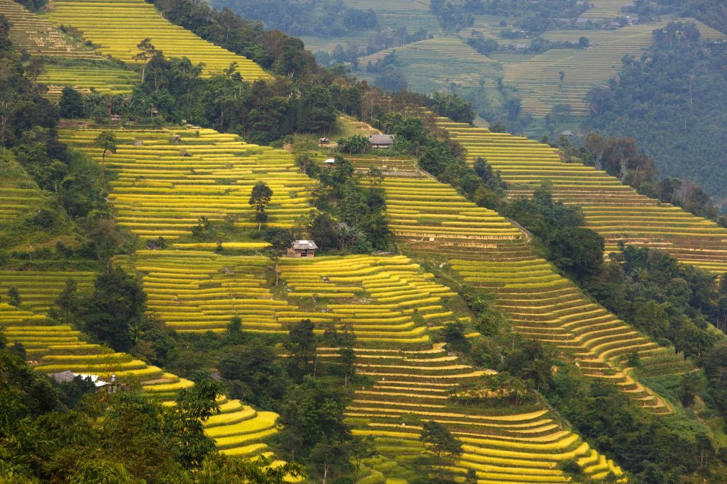 Photo by Quang Nguyen Vinh: https://www.pexels.com/photo/rice-terraces-2154144/

Kesimpulan