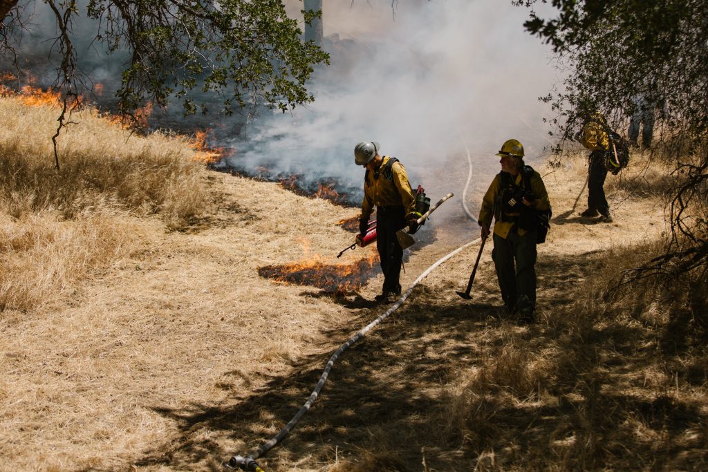 Forest Fire Prevention with IoT Sensors
Foto oleh RDNE Stock project: https://www.pexels.com/id-id/foto/alam-merokok-lingkungan-hidup-petugas-pemadam-kebakaran-8551700/