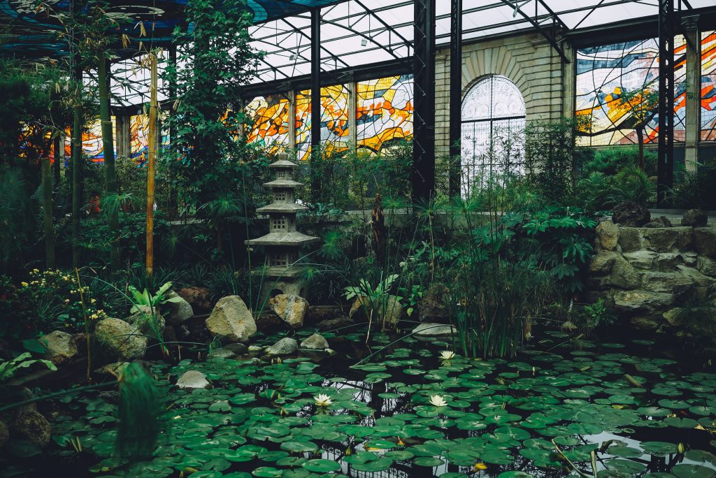 Photo by Ricky Esquivel: https://www.pexels.com/photo/water-lilies-on-pond-1683328/

Masa Depan Pertanian yang Cerah