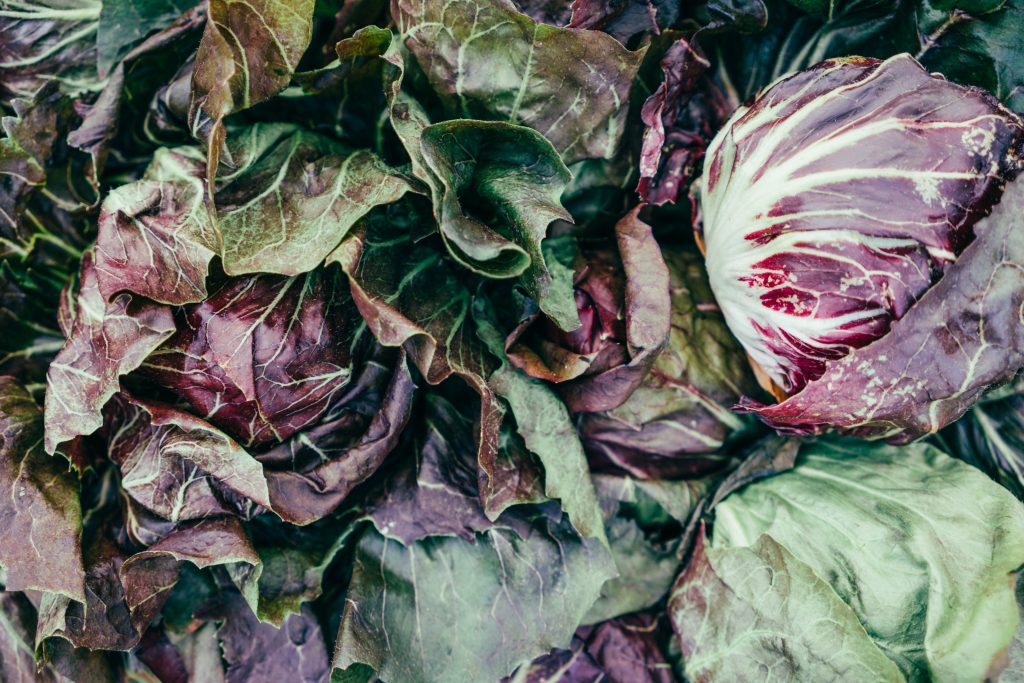 Photo by Sergei A: https://www.pexels.com/photo/multicolored-lettuce-heads-lot-2539419/

Konsep Dasar Smart Hydrofarming