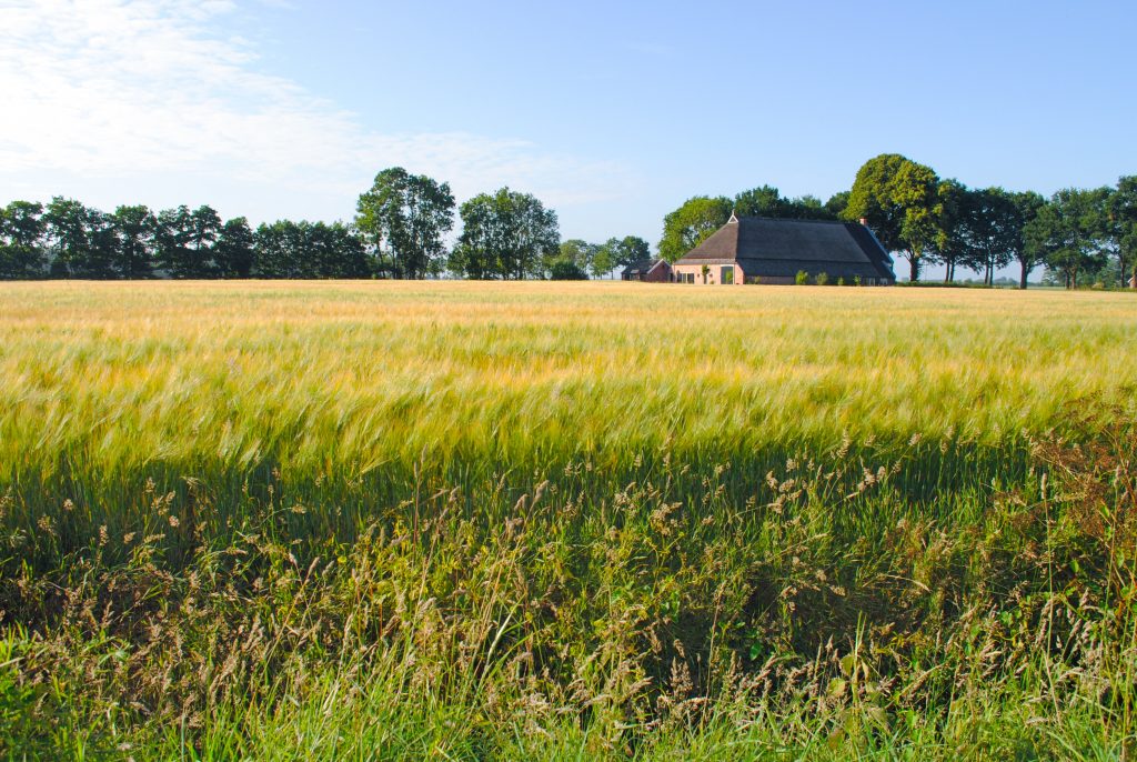 Photo by Skitterphoto: https://www.pexels.com/photo/photo-of-grass-field-810893/

Smart Agriculture: Melindungi Tanaman dengan Teknologi Cerdas