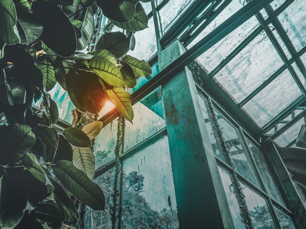 Photo by Sujan Pokhrel: https://www.pexels.com/photo/low-angle-photography-of-greenhouse-1068323/

Kesimpulan