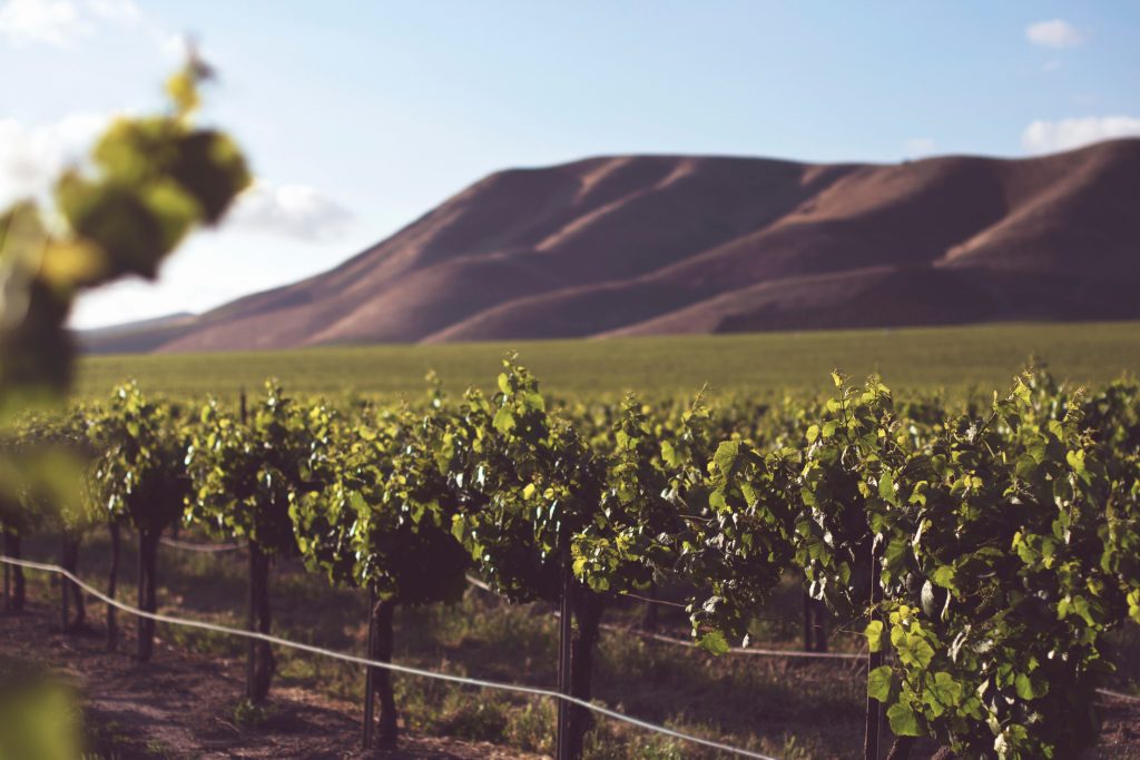 Photo by Tim Mossholder: https://www.pexels.com/photo/photography-of-green-plant-crops-953166/

Internet of Things (IoT) dalam Pertanian