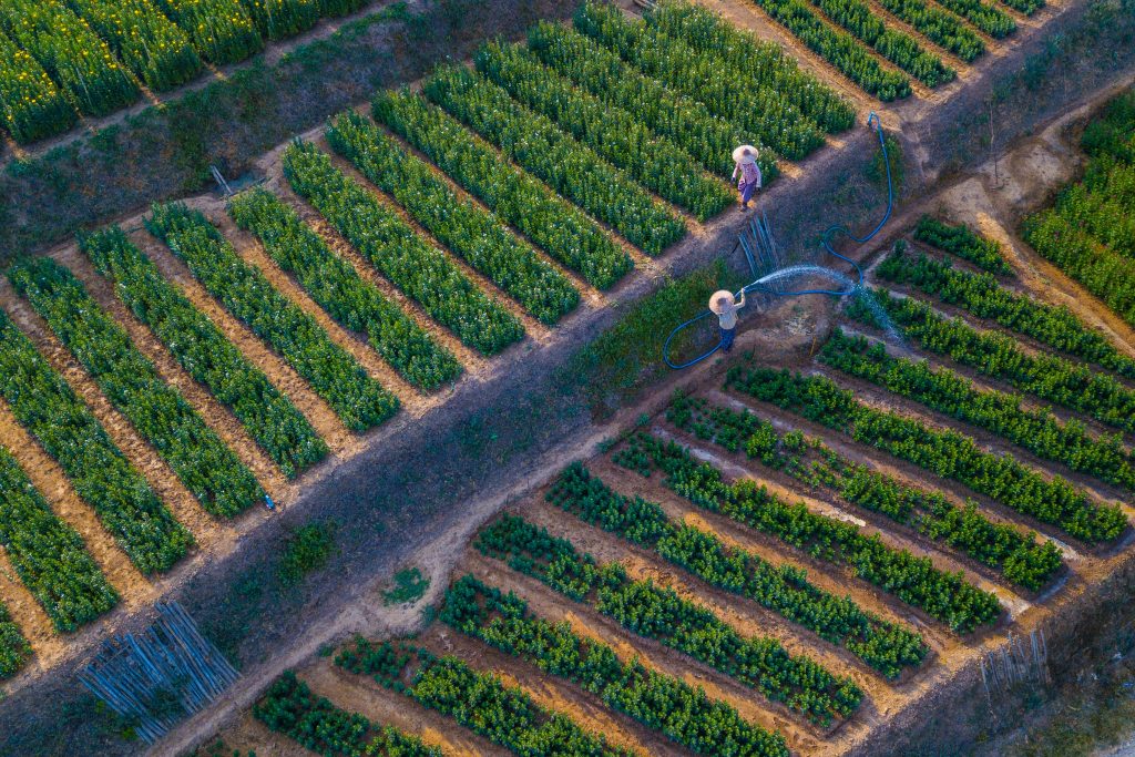 Photo by Tony  Wu : https://www.pexels.com/photo/droen-shot-of-watering-of-vineyard-5555232/

Kesimpulan