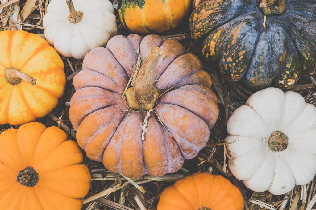 Photo by Ylanite Koppens: https://www.pexels.com/photo/pumpkins-3036364/

Keuntungan Revitalisasi Pertanian Perkotaan melalui Smart Hydrofarming