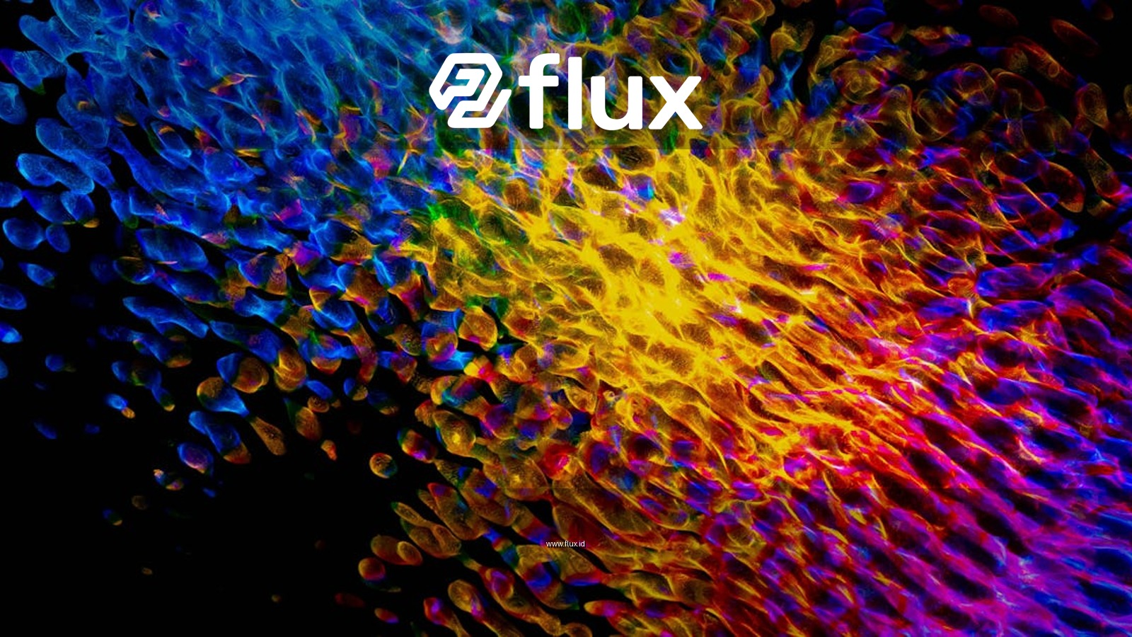 Colorful abstract light patterns creating a vibrant wave-like texture against a black background.