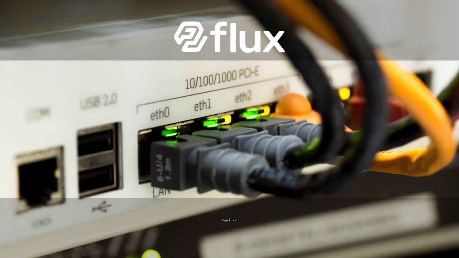 Detailed close-up of ethernet cables and network connections on a router, showcasing modern technology.