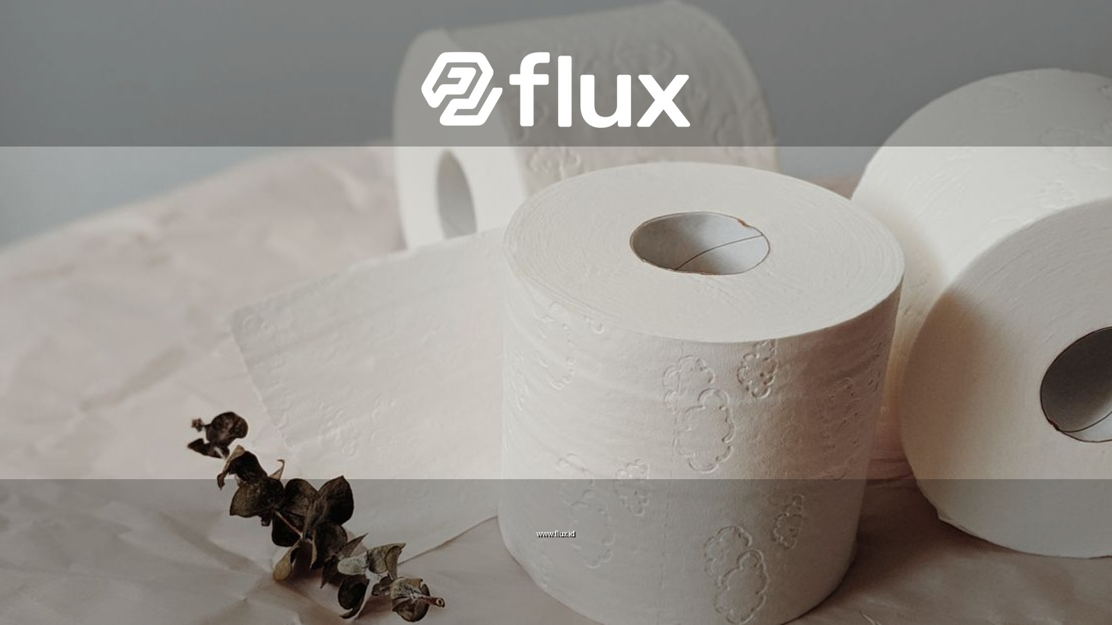 Three toilet paper rolls on craft paper with eucalyptus, showcasing minimalist home essentials.