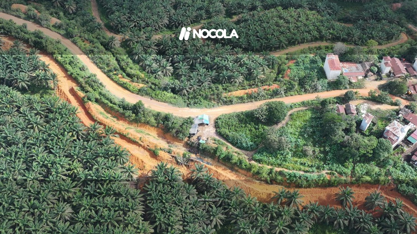 Aerial shot of a vibrant palm oil plantation and rural houses surrounded by greenery.