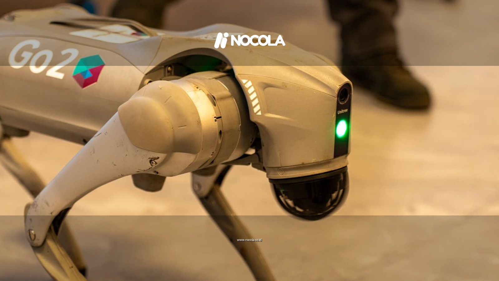 A robotic dog with 'Go2' branding, captured indoors, showcasing modern technology.