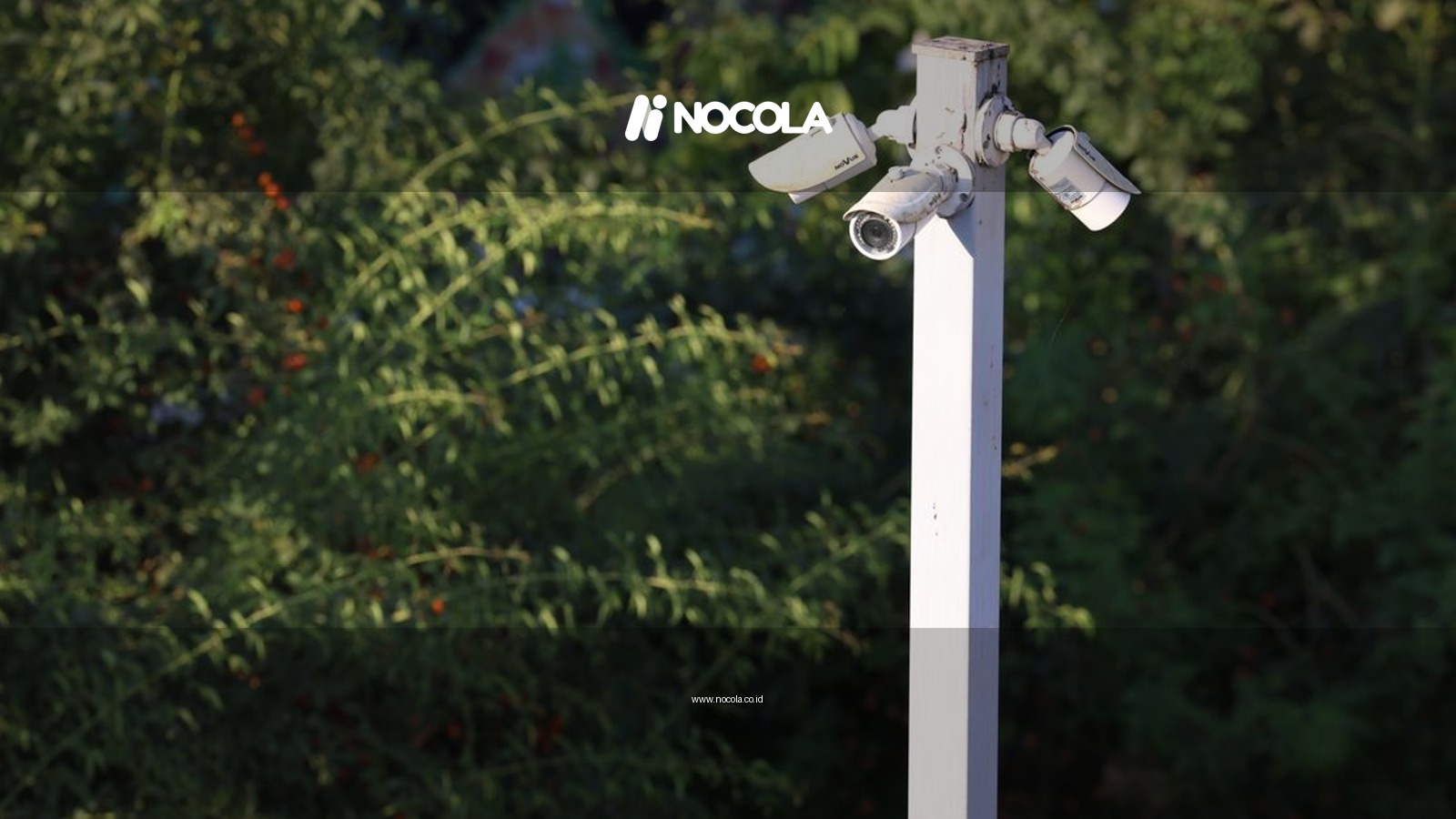Cluster of surveillance cameras mounted outdoors amidst green foliage for public safety.