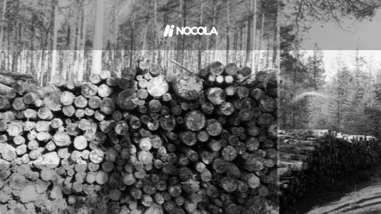 grayscale photo of wood logs