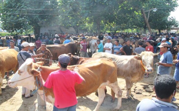 Jelang Idul Adha, Pasar Hewan Klaten Dibuka Kembali Hari Ini