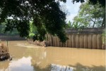 Cegah Banjir, Pembangunan Turap di Kembangan Utara Butuh Waktu 5 Bulan