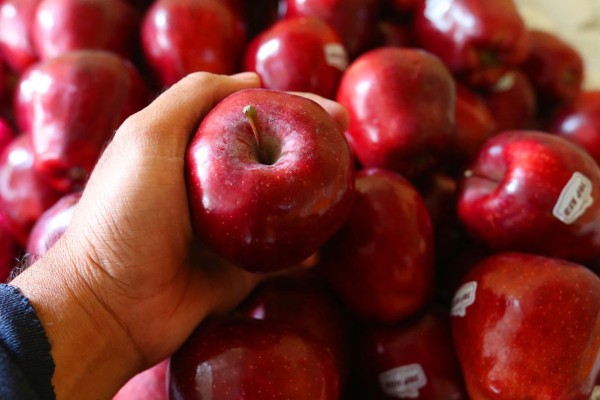 Manfaat Jus Apel, dari Cegah Diabetes hingga Kanker