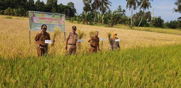 Program CSA Buktikan Hasil Petani Pinrang Berlipat