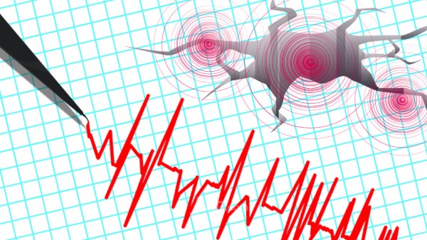 Gempa 5,6 Magnitudo Guncang Maluku Tenggara