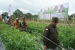 Penuhi Kebutuhan Pangan 1,9 Juta Penduduk IKN Nusantara, Begini Upaya Kementan