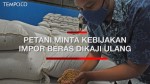 Pemerintah Impor Beras, Ini 5 Negara Pemasok Beras ke Indonesia