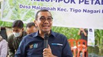Tak Sesuai Target, Tol Trans Sumatera Hanya Sampai Jambi di 2024