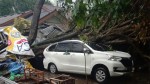 Mobil Yang Rusak Tertimpa Pohon Tumbang, Ada Ganti Rugi dari Pemerintah, Ini Syaratnya
