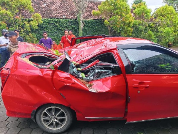 Mobil Wisatawan Asal Kebumen Tertimpa Pohon Tumbang di Yogyakarta, BMKG Ingatkan Potensi Cuaca Ekstrem Pekan ini
