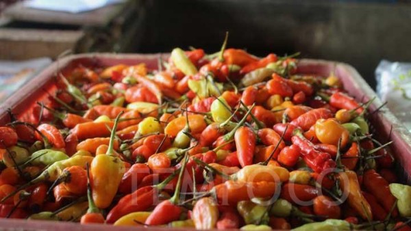 Harga Cabai Menembus Rp 75 Ribu, Bapanas Akan Bagikan Polybag untuk Masyarakat Tanam di Rumah
